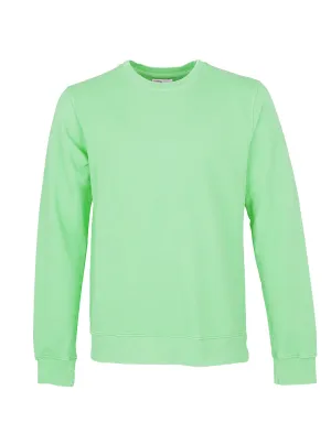 Colorful Standard Crew Sweat faded mint