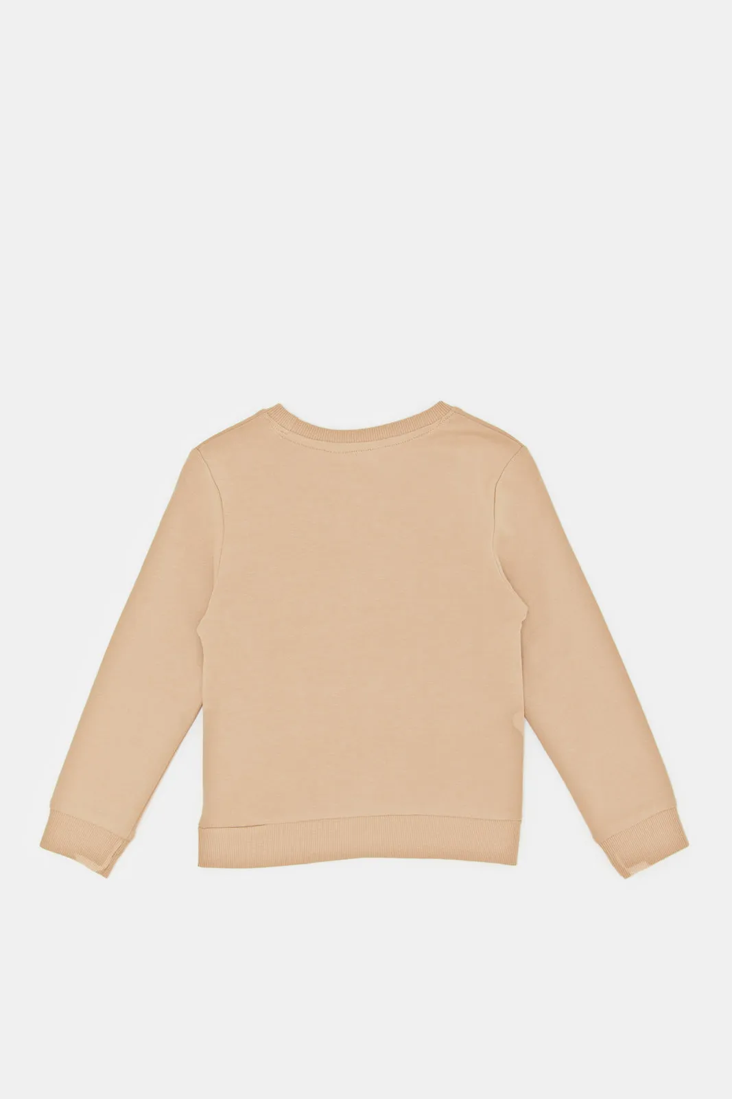 Infant Boys Beige Lion Print Sweatshirt