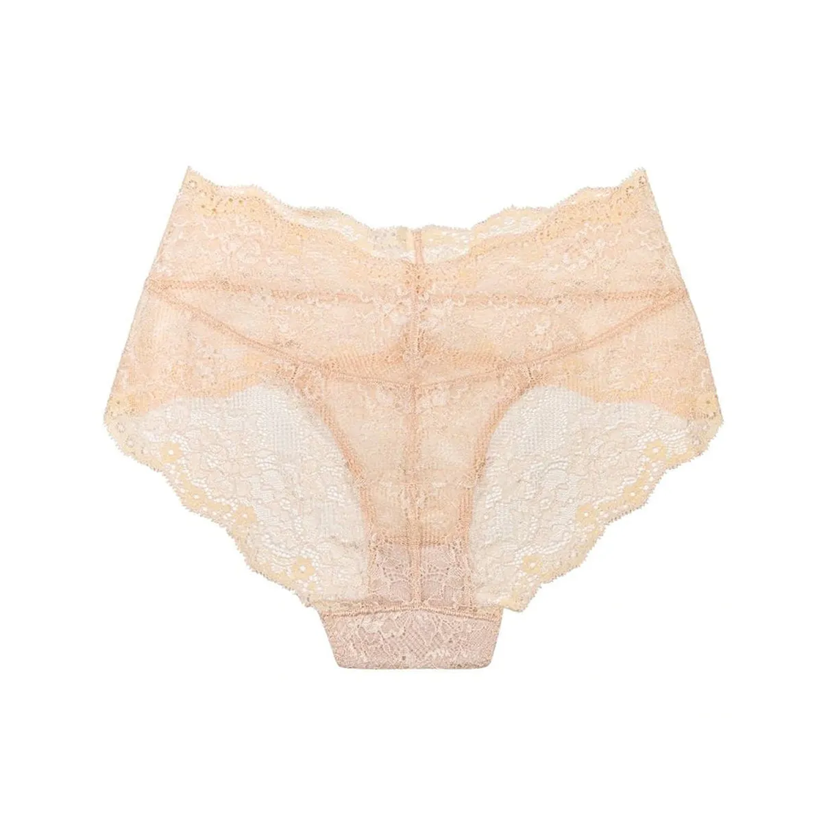 Lace briefs - Champagne