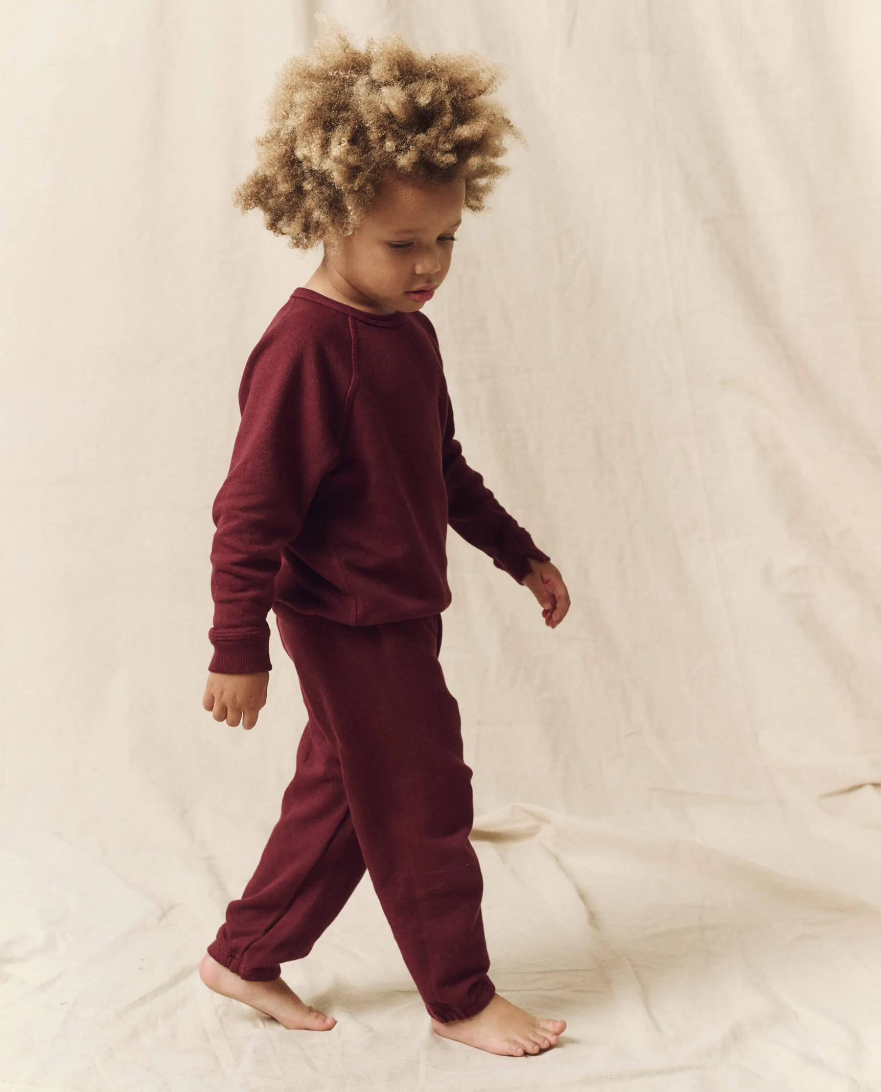 The Little College Sweatshirt. Solid -- Mulled Wine