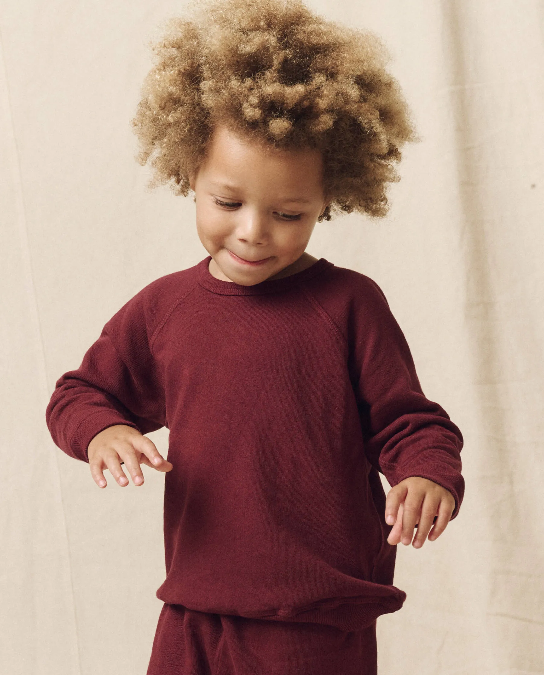 The Little College Sweatshirt. Solid -- Mulled Wine